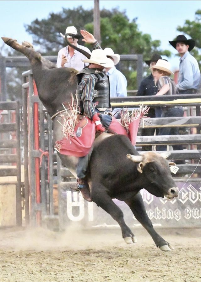 Friday July 3 - Ultimate Bull Fighting