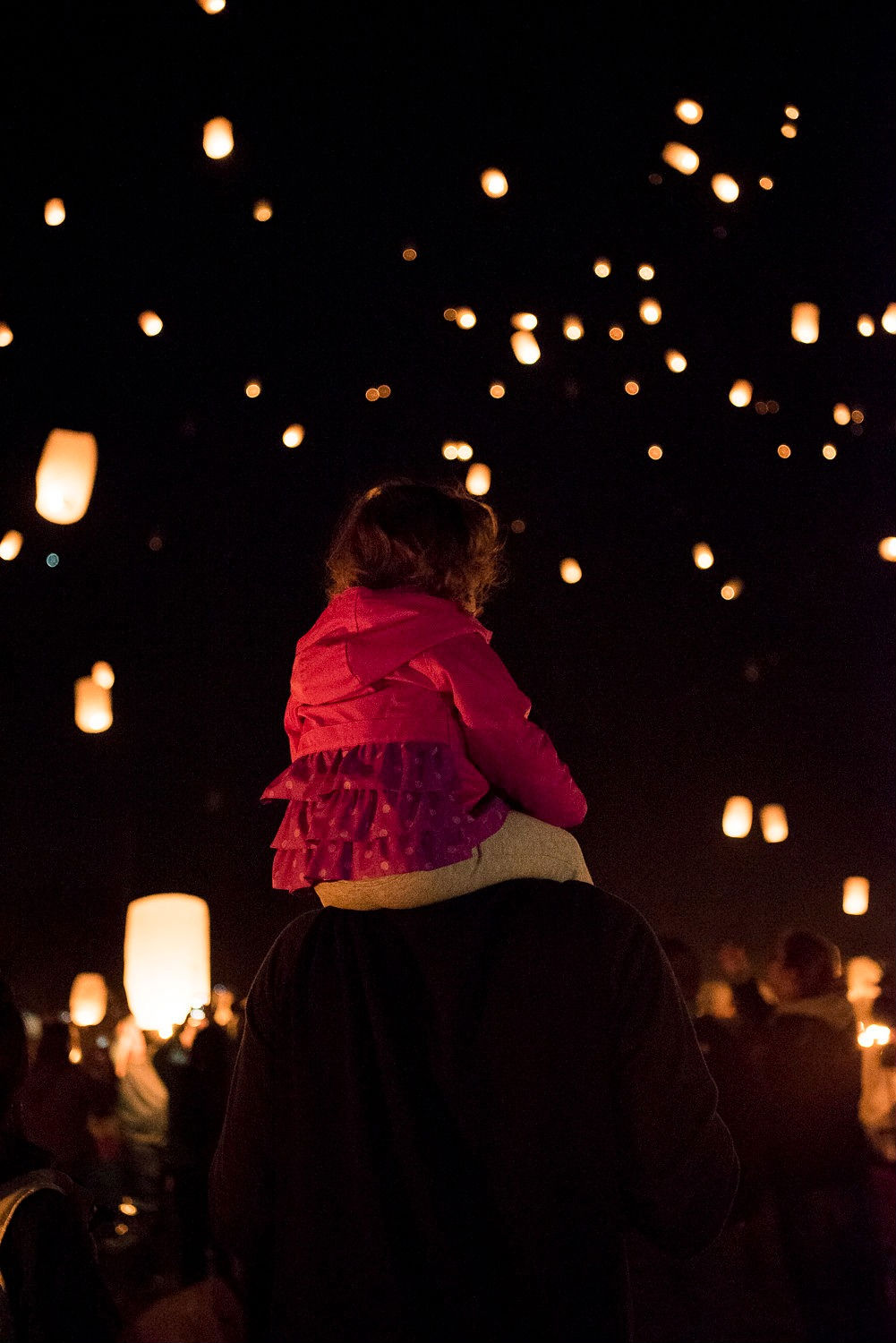 The Lights Lantern Festival The Lights, Philadelphia area 6202020