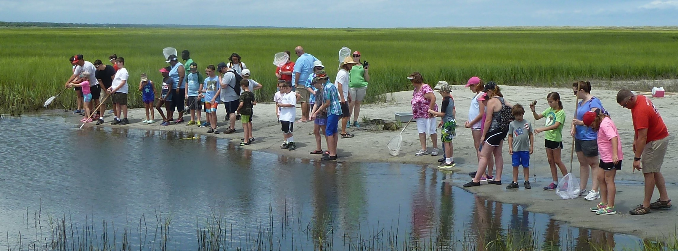 Masonboro Island Ecotour-August 12th, 9:30am-12:30pm