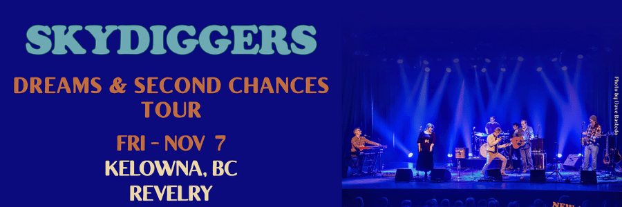 Skydiggers