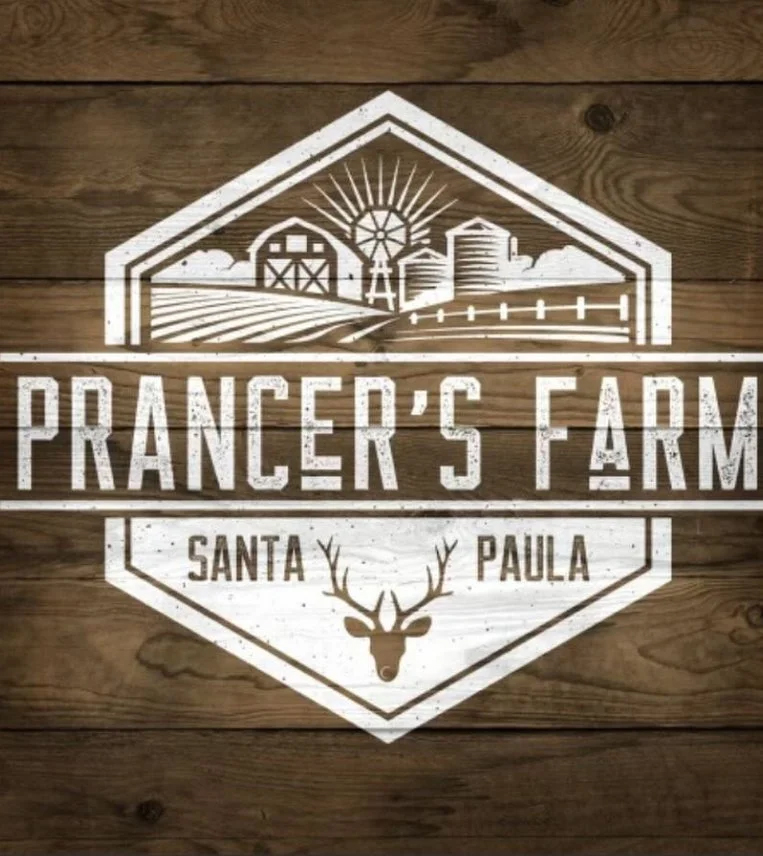 Prancer's Farm - Horse Rides