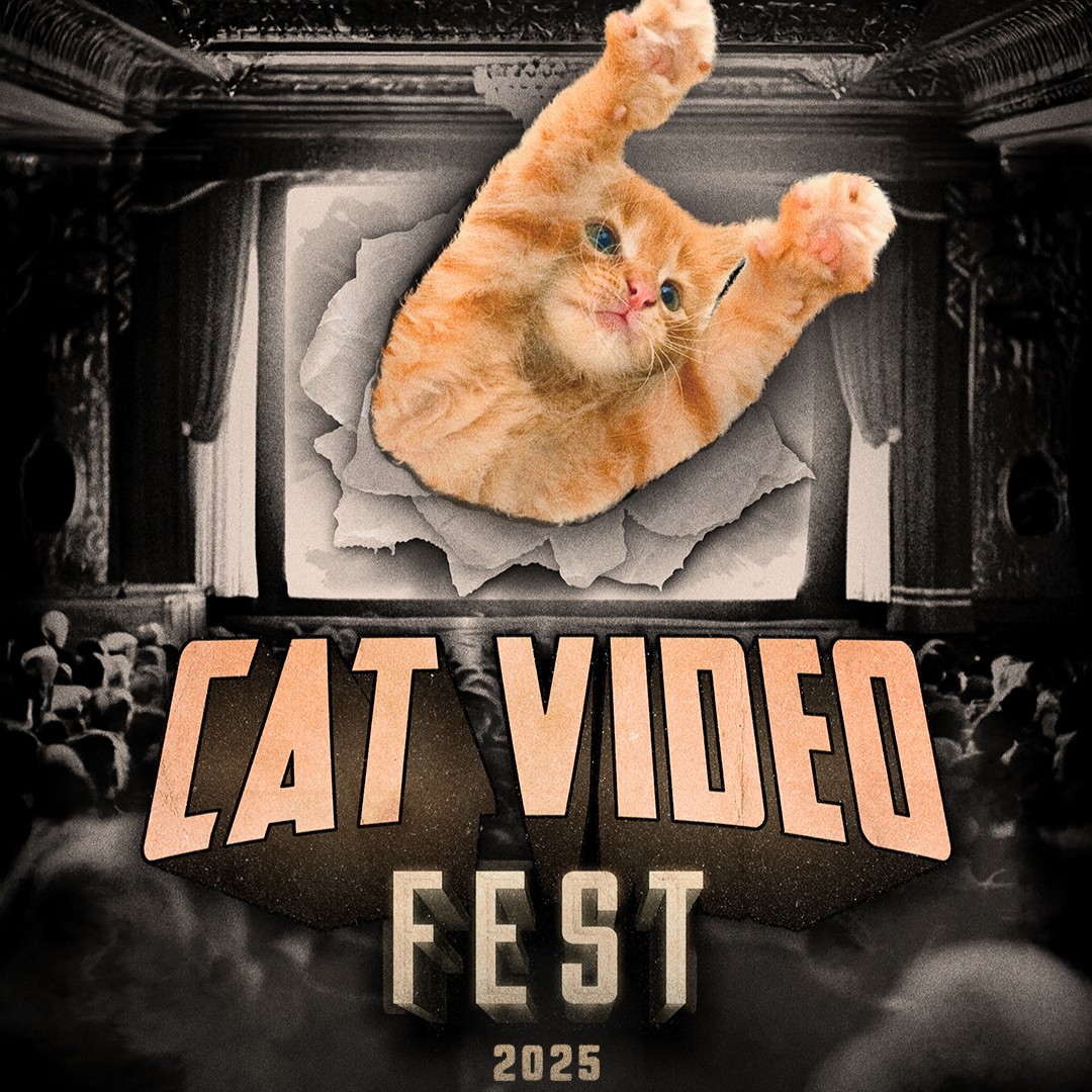 Cat Video Fest 2025 (Friday August 22nd @4pm)