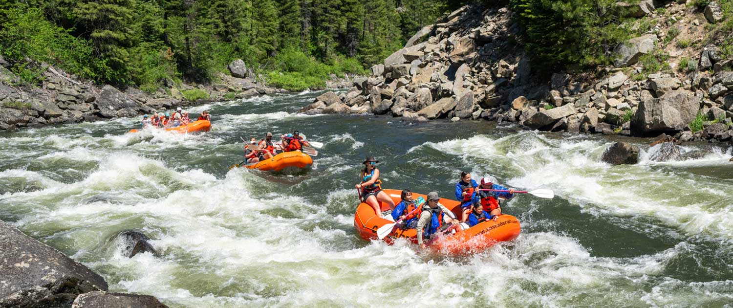 The 3100 and Beyond our Senses