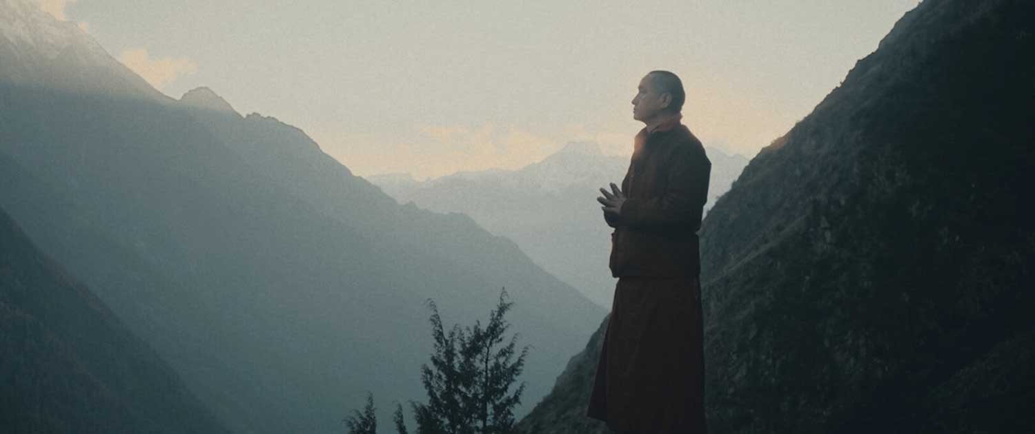 Rice & Sugar and The Last Puestro