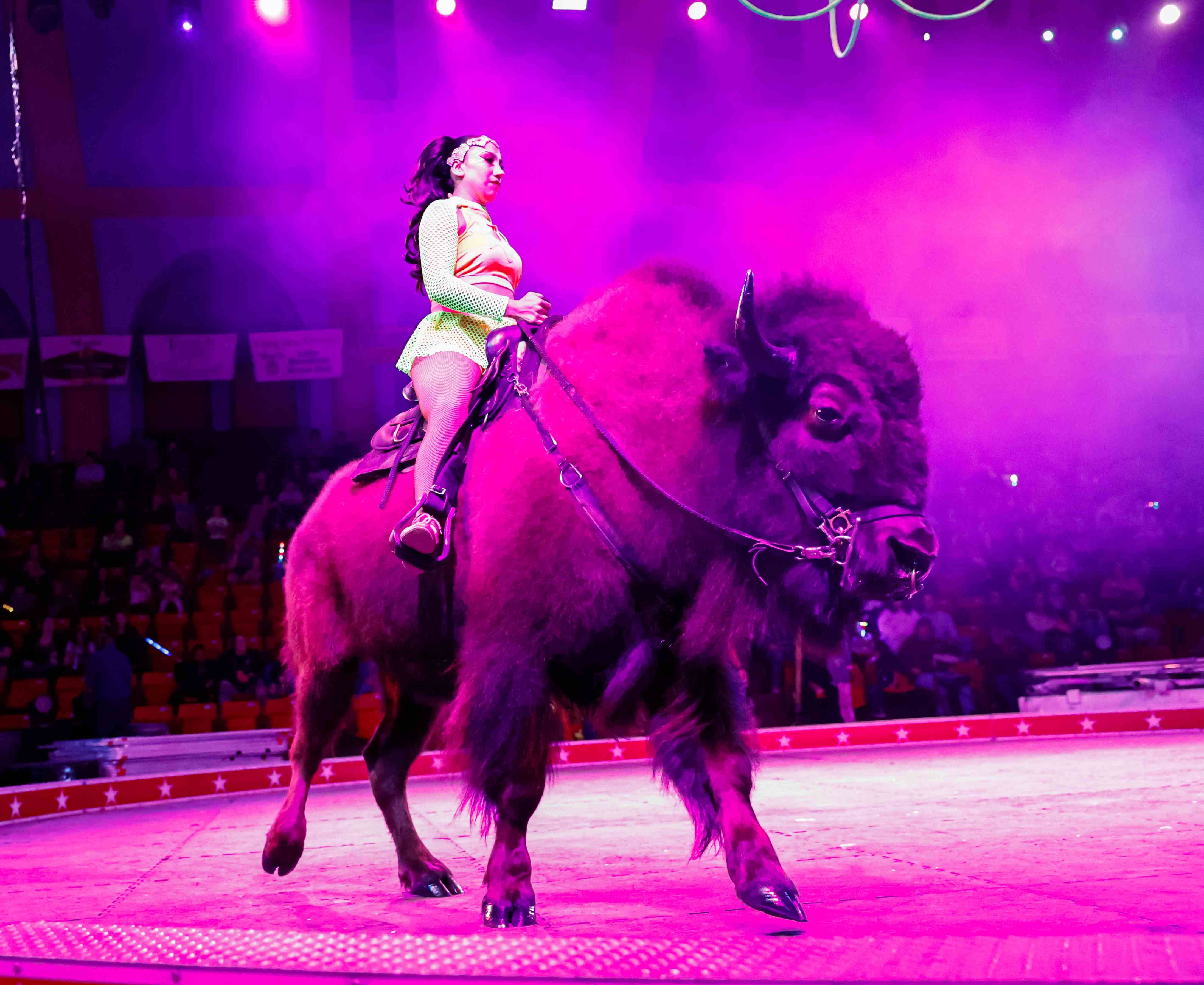 Giddings, TX - 6:30pm - 3/17/2026 - Tuesday