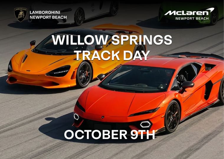 Willow Springs Track Day | 2026