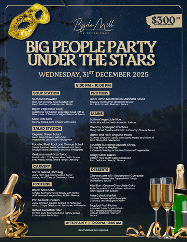 Big People Party Under The Stars