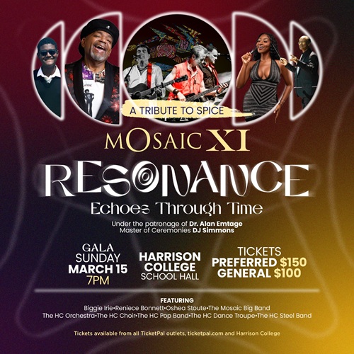 Mosaic XI Resonance: Echoes Through Time Gala