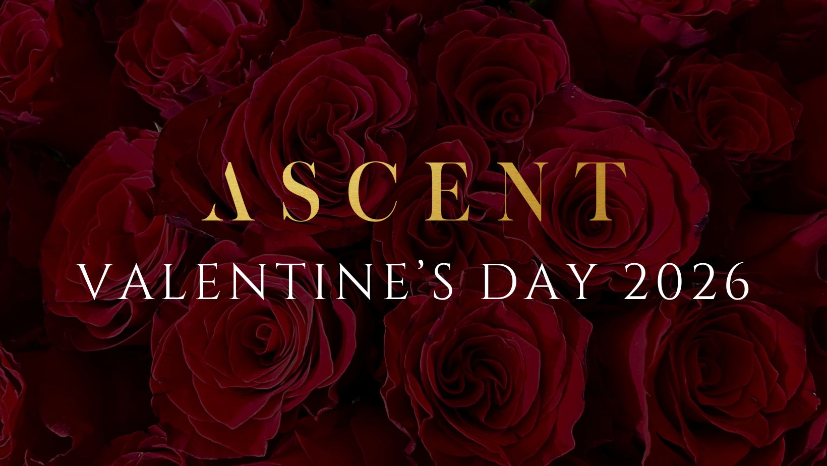 Valentine’s Day at Ascent 2026
