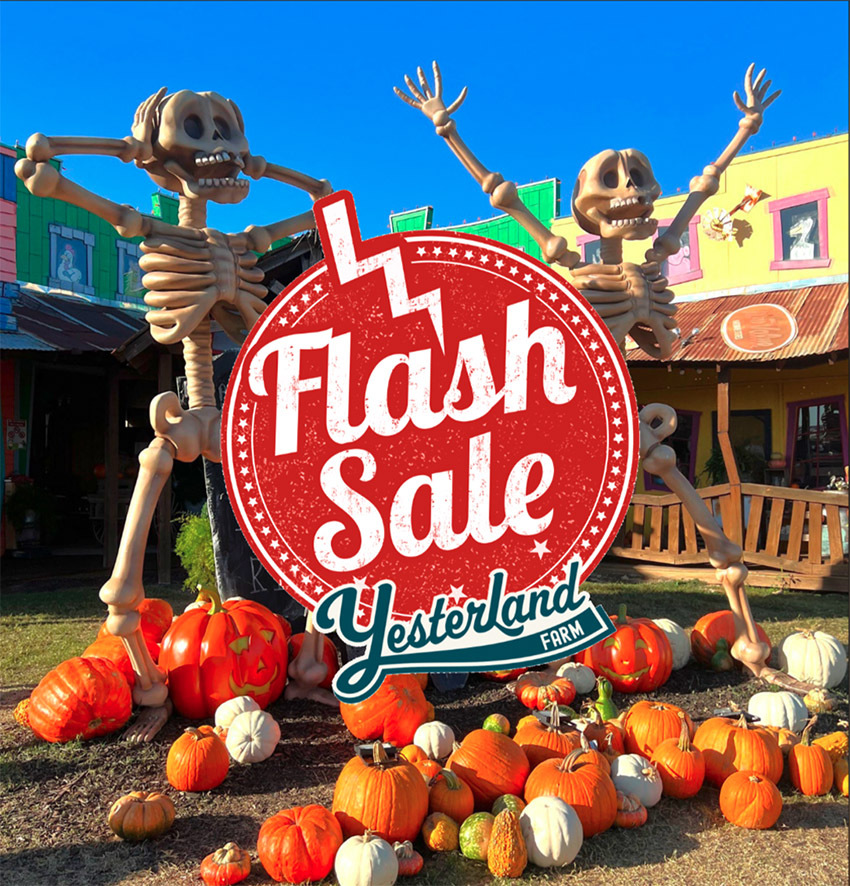 Yesterland Farm - Fall Flash Sale
