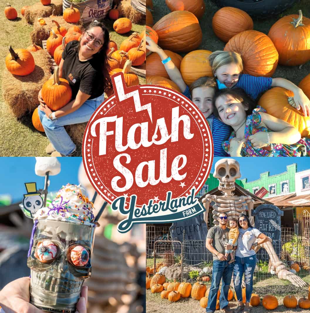 Yesterland Farm - Fall Flash Sale 2026