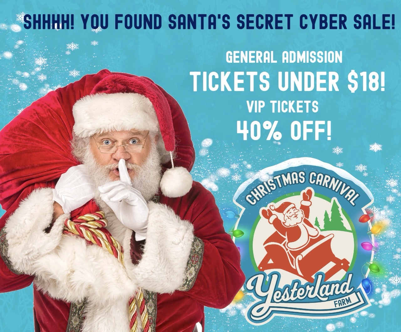 Yesterland Farm 2025 Christmas Flash Sale