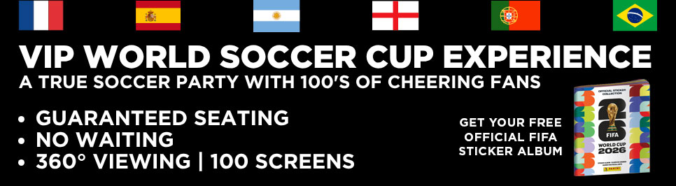 VIP World Soccer Cup Experience