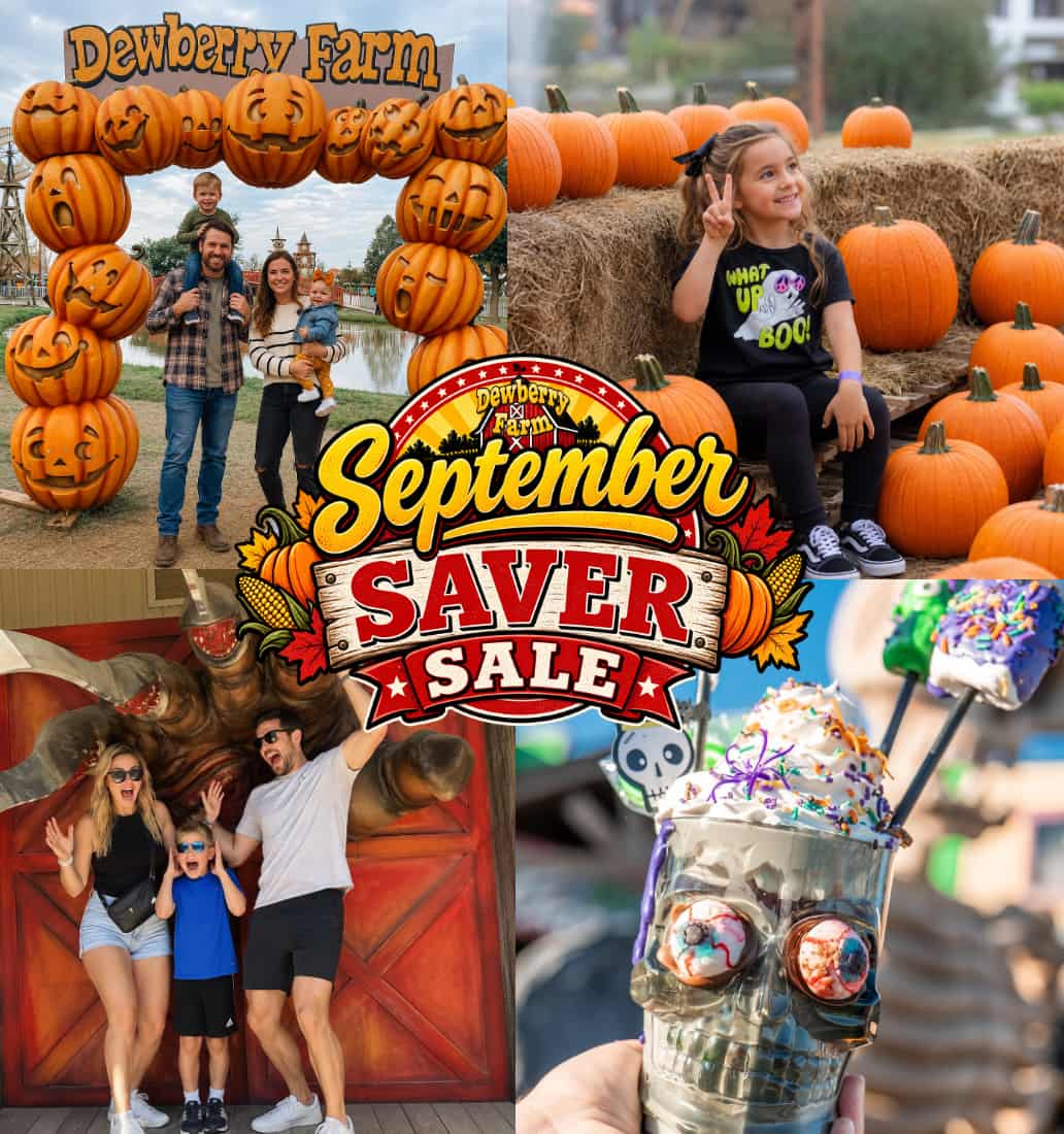 Dewberry Farm - September Saver Ticket