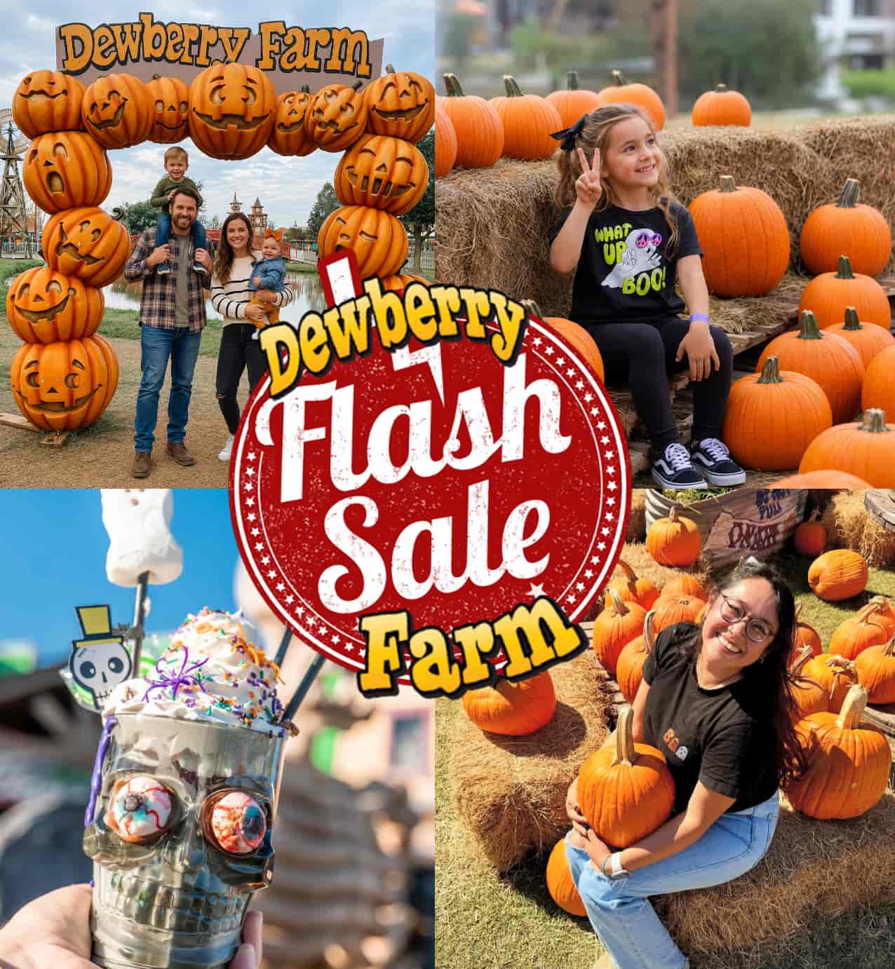 Dewberry Farm - 2026 Fall Flash Sale