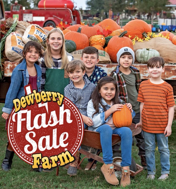Dewberry Farm - Fall Flash Sale