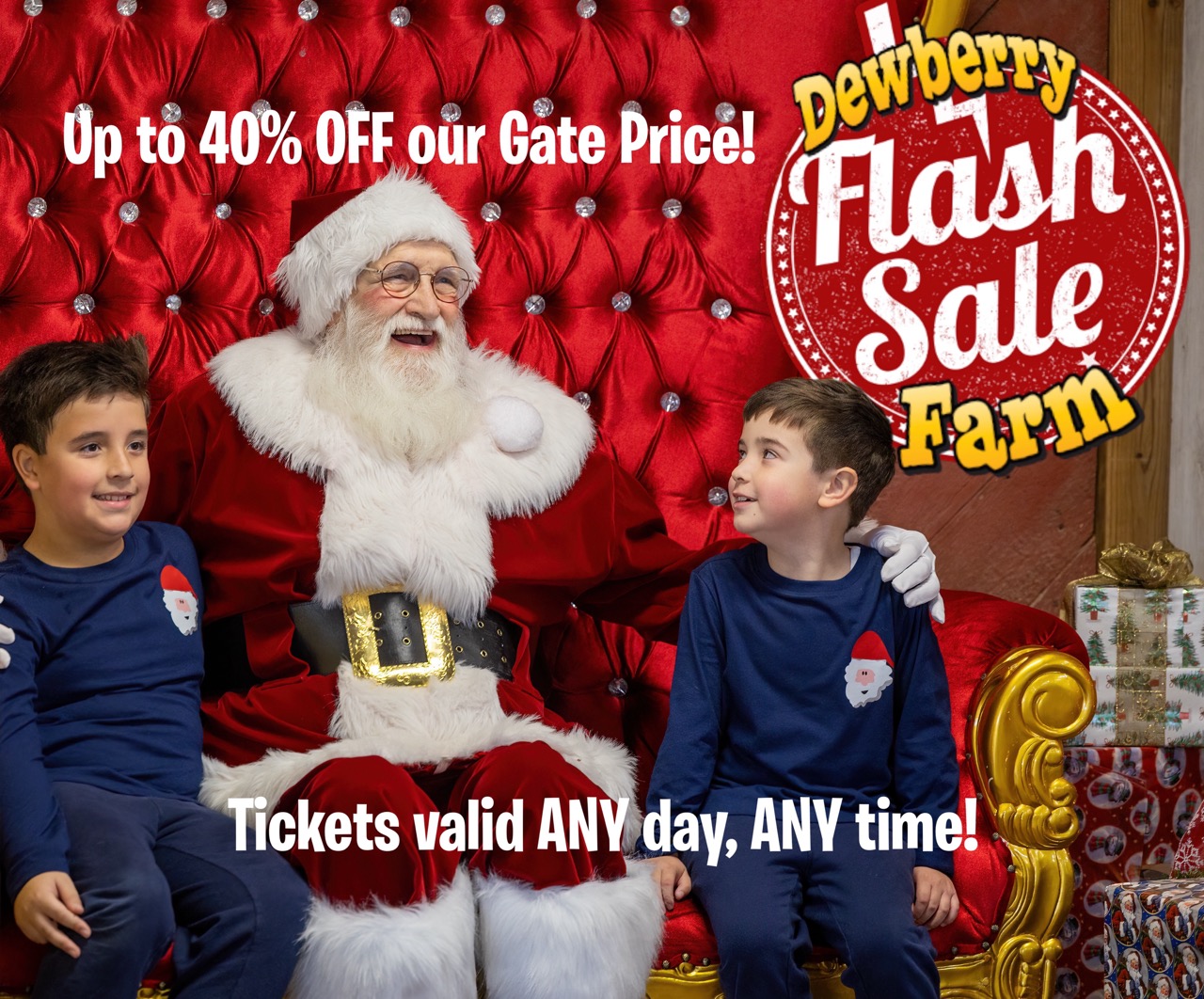Dewberry Farm 2025 Christmas Flash Sale