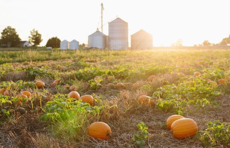 Tate Farms 2026 Admission